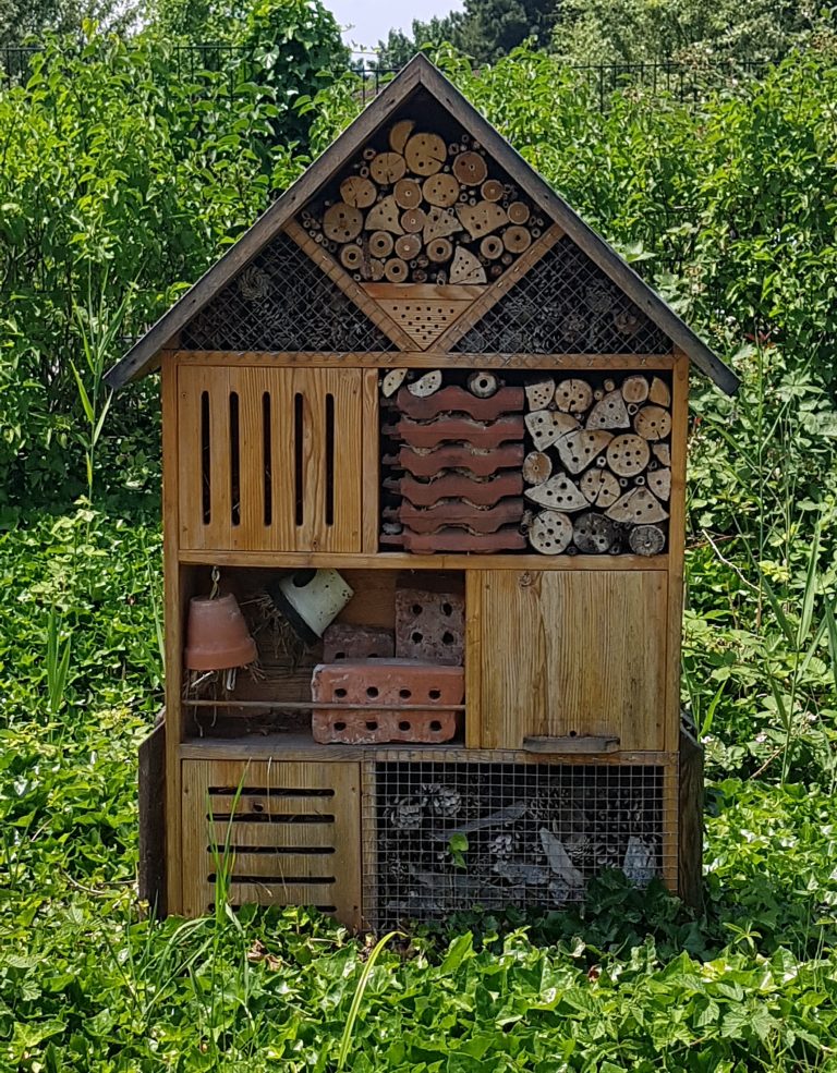 Hôtel à insectes
