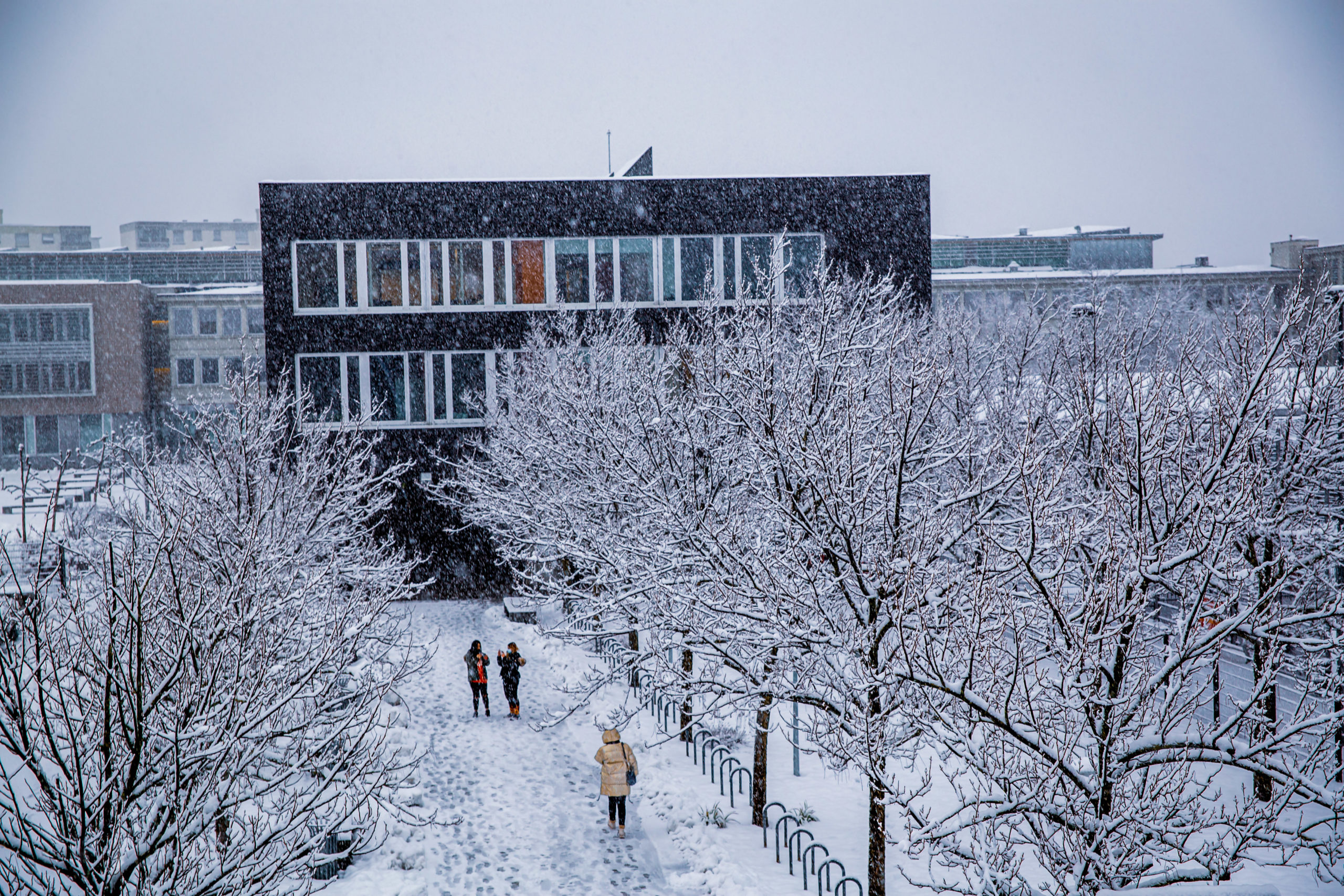 Mermoz sous la Neige