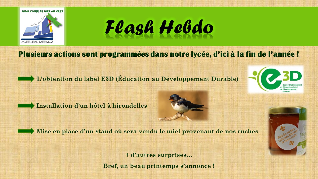 Flash Hebdo #25