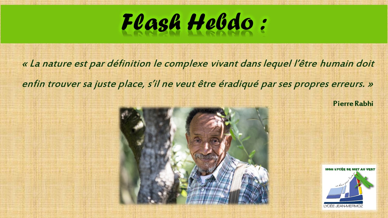 Flash Hebdo #27