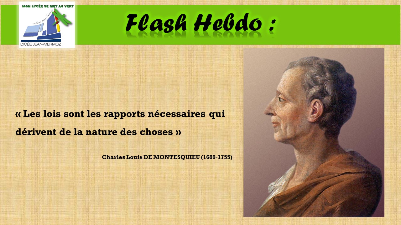 Flash Hebdo #31